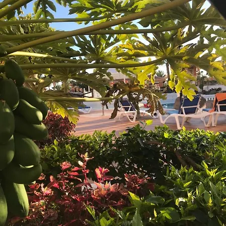 Vistas - Tenerife Royal Gardens * Playa de las Américas