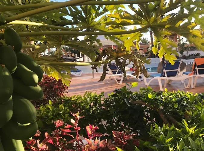 Vistas - Tenerife Royal Gardens * Playa de las Americas (Tenerife)